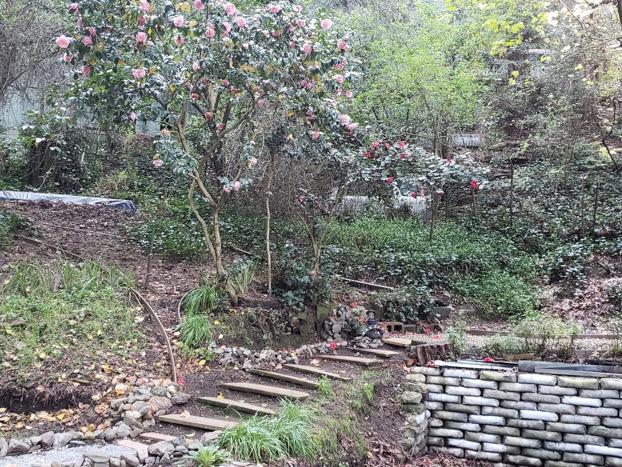 1 Meeker Street Occidental - Photo 2 of 38