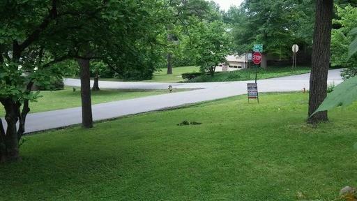 15 N Palmer Ave - Photo 2 of 11