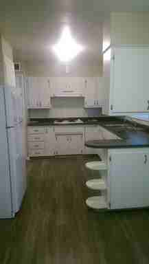 3713 19th Ave - Photo 2 of 19