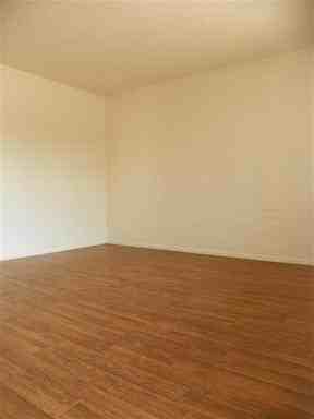 960 N Orange - Photo 2 of 22