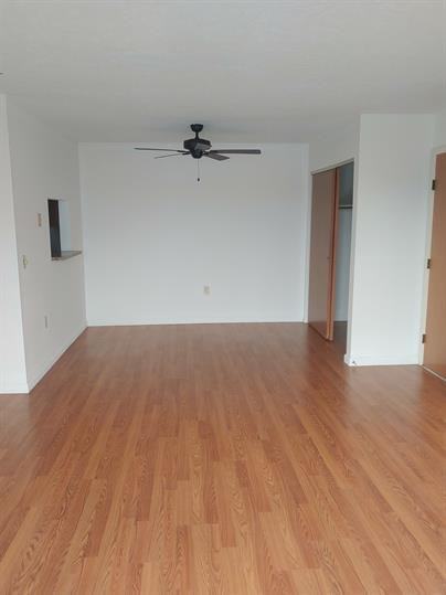 Dewers Street, 109 (47001) - Photo 3 of 6