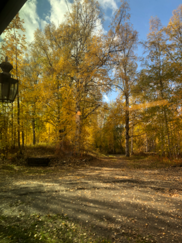 2290 Shay Ct - Photo 2 of 11