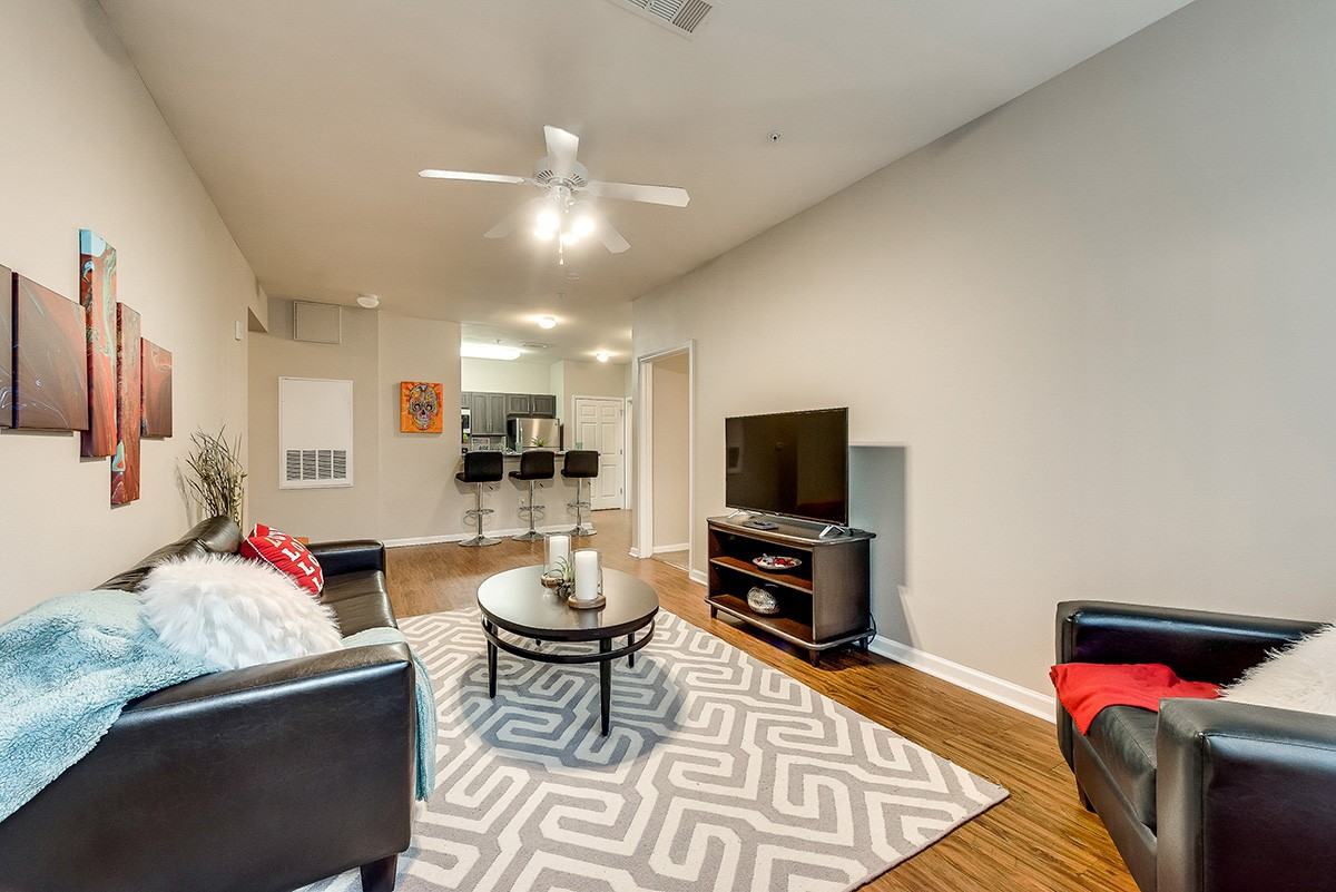 The Encore at SHSU - Photo 3 of 32