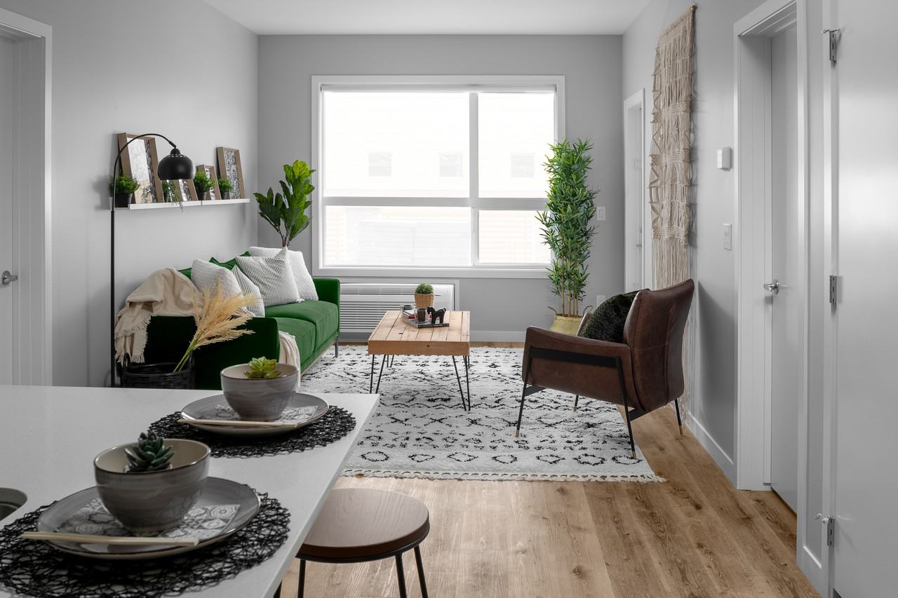 TRIO - Photo 3 of 12