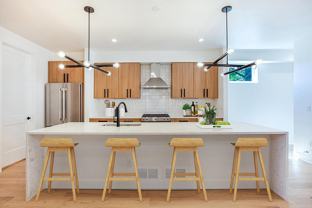 Swanky Sunnyside townhome near 41st & Fox light rail - Photo 1 of 1