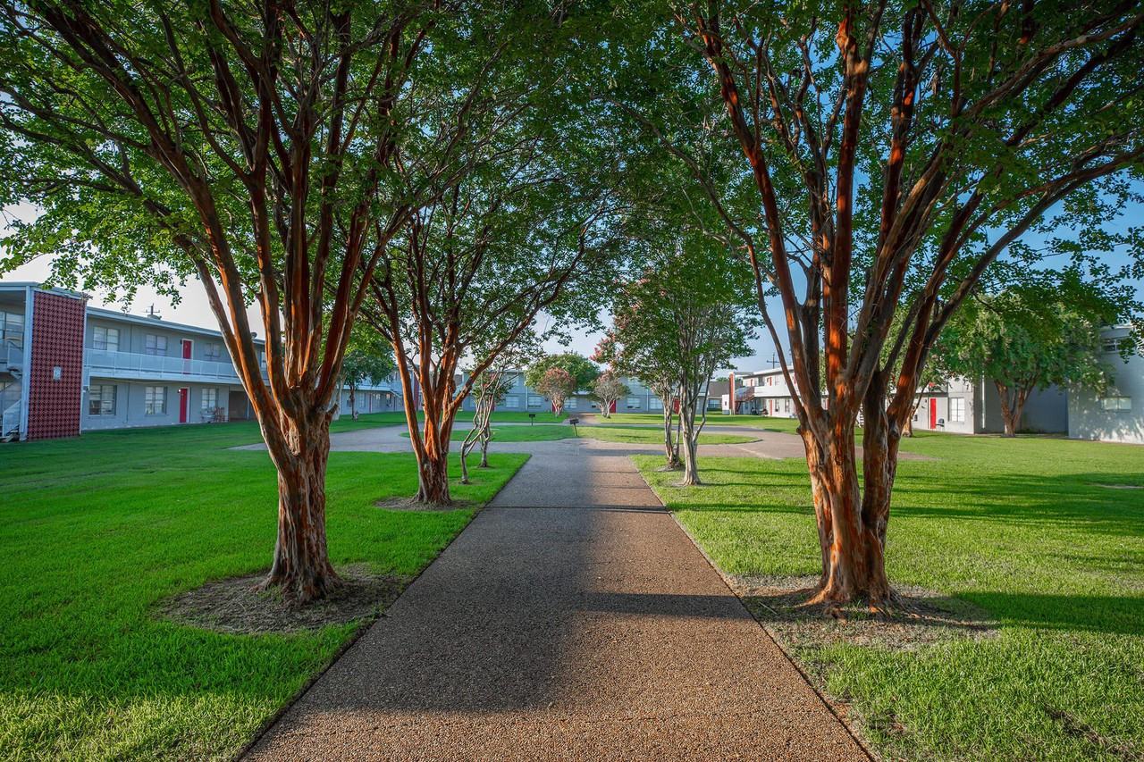 Tammie Jay Apartments - Photo 7 of 49
