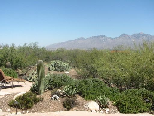 11411 E Andalusian Pl - Photo 2 of 64