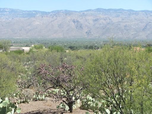 11411 E Andalusian Pl - Photo 3 of 64