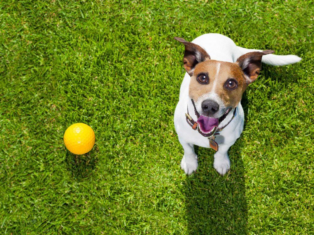 Glenmeade Village - Photo 3 of 22