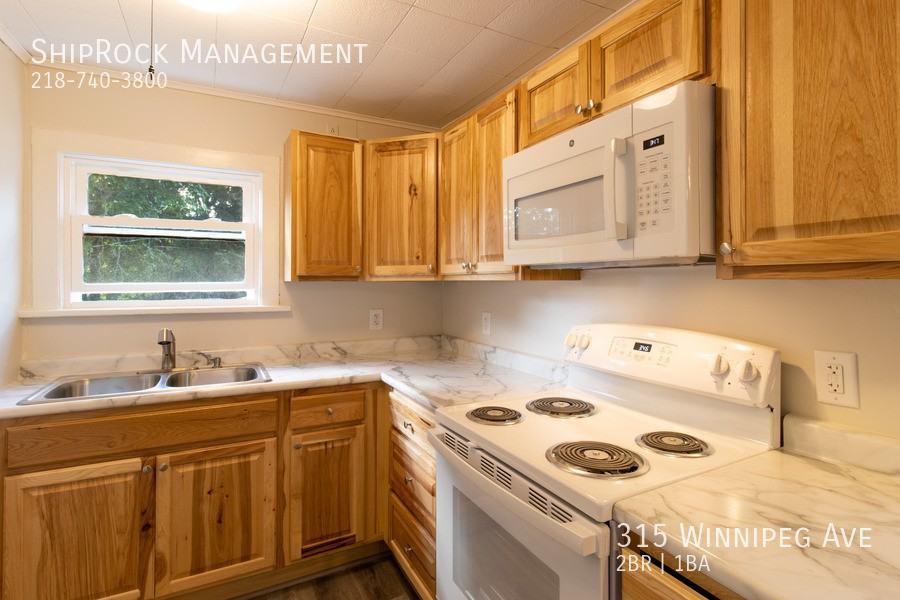 315 Winnipeg Ave - Photo 2 of 15