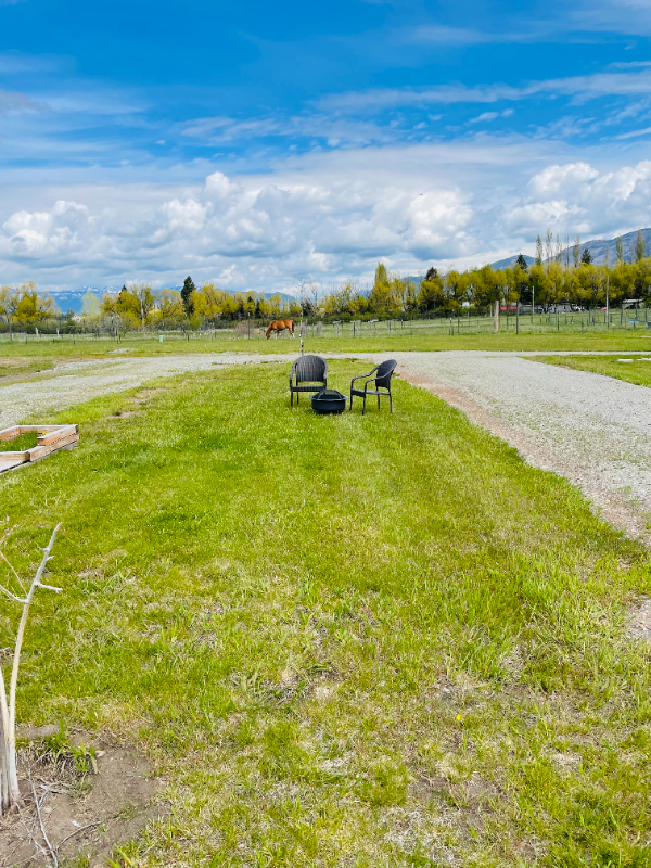 3131 Mt Hwy - Photo 7 of 7