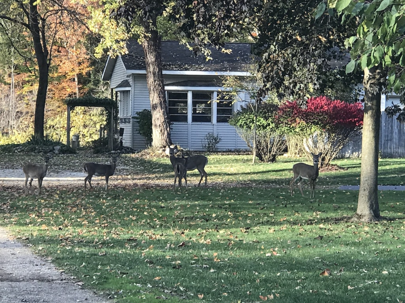 6437 W Bell Meadow Dr - Photo 3 of 16