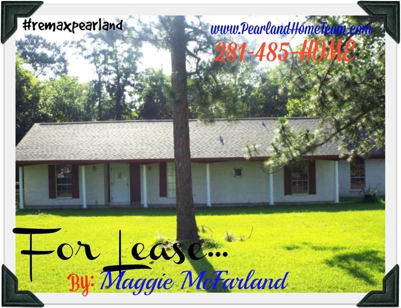 12519 Sunbrook Dr - Photo 2 of 23