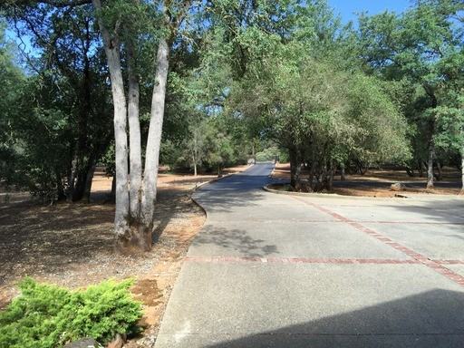 2831 Carlson Dr - Photo 3 of 15