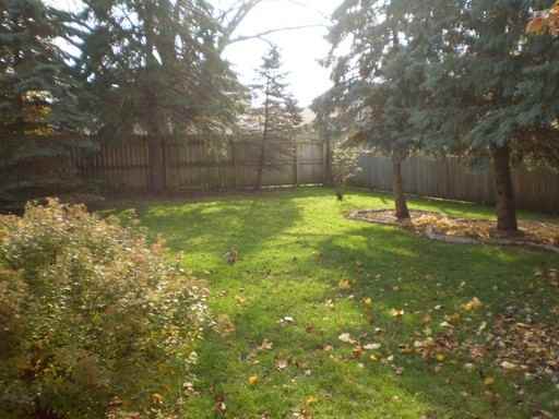 931 Nettie St - Photo 3 of 10