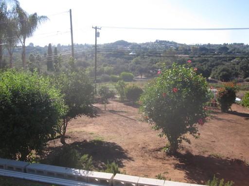 2626 Miller Ave - Photo 3 of 17