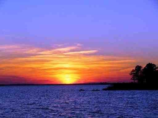 869 Wide Waters Dr - Photo 2 of 10