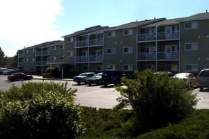 Maplewood - Photo 3 of 4