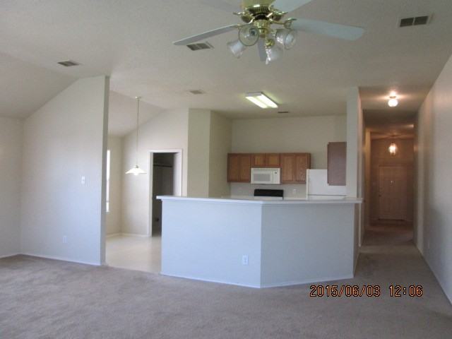 405 Rock Prairie Ln - Photo 2 of 19