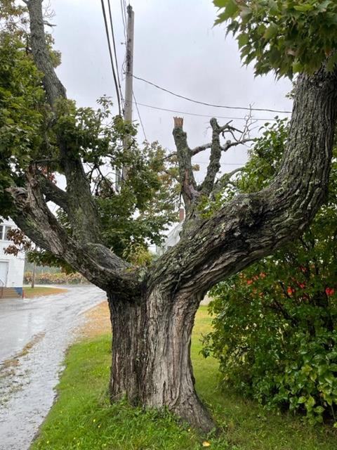 2 West St - Photo 2 of 21