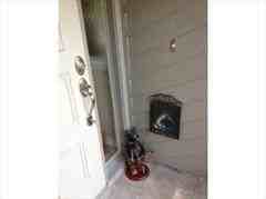 1658 Macdonnell Ct - Photo 2 of 14