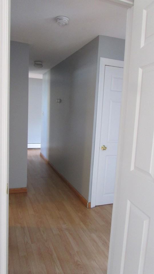 11 E Orange St #1 - Photo 5 of 14