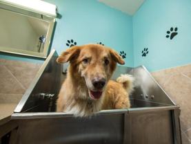 13305 Northeast 171st Street - Photo 1 of 1