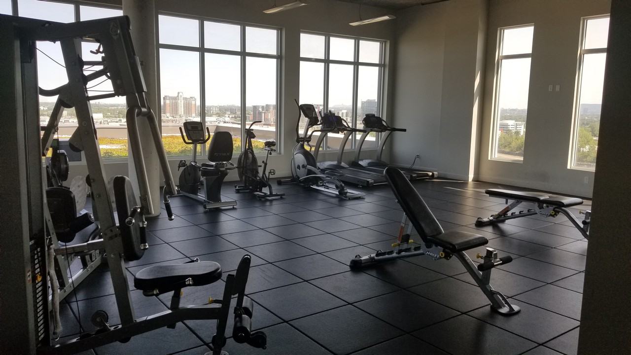 2980 Boulevard Saint-Martin Ouest #301 - Photo 3 of 9