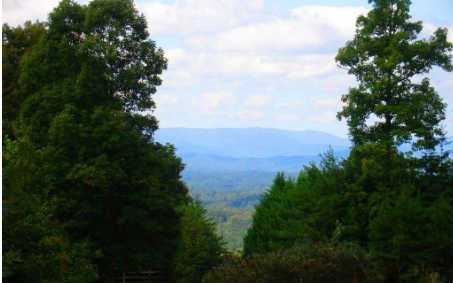 489 Blue Ridge Trails - Photo 2 of 4