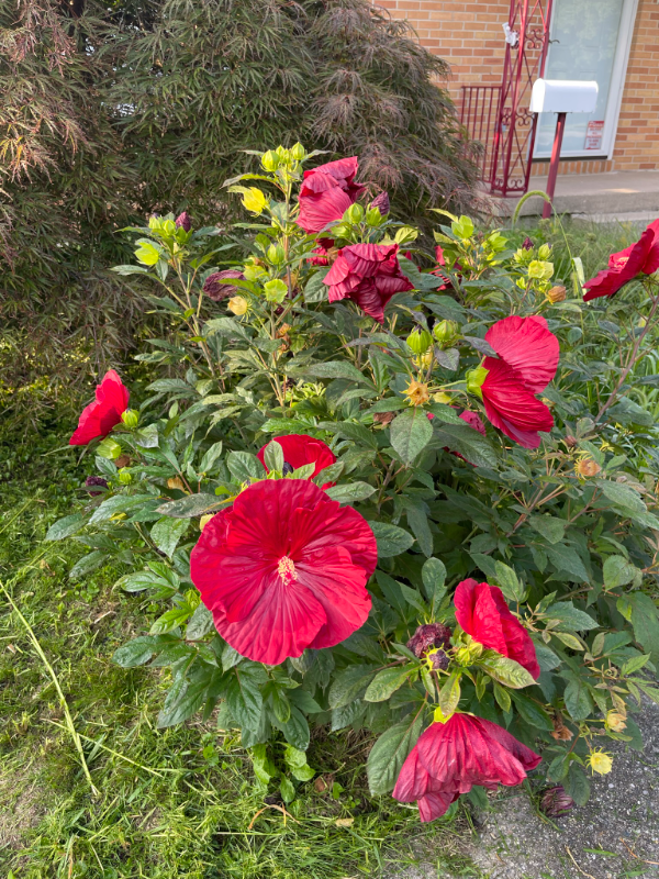 644 3 Mile Rd NE Grand Rapids, MI 49505 - Photo 3 of 37