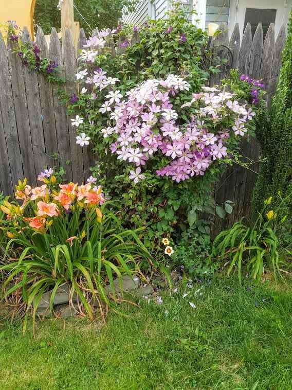 270 Bates Street - Photo 3 of 16