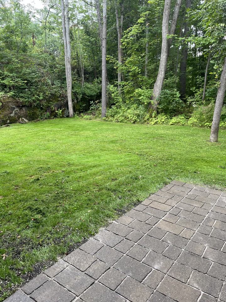 7768 Singing Pines Road #1-2 - Photo 2 of 16