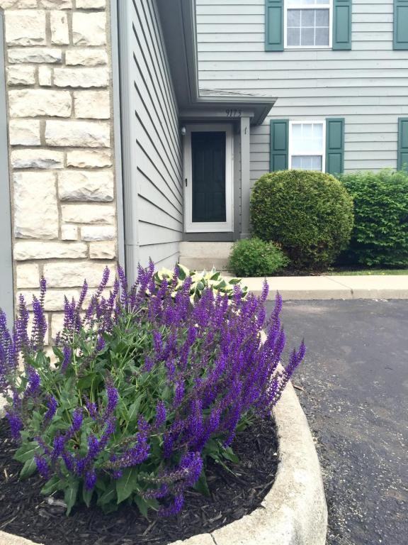 9173 Parkbury Ln - Photo 2 of 18