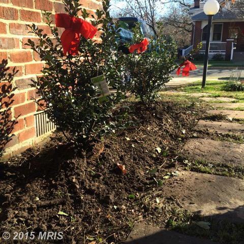 28 Sunset Dr - Photo 3 of 26