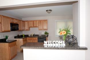 331 Radcliff St #1 - Photo 1 of 1