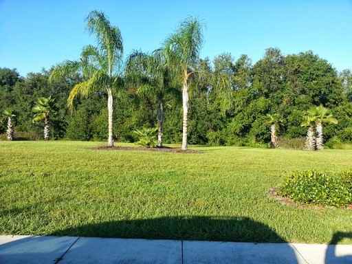 2112 Tarragon Ln - Photo 2 of 22