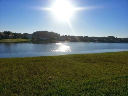 2112 Tarragon Ln - Photo 3 of 22