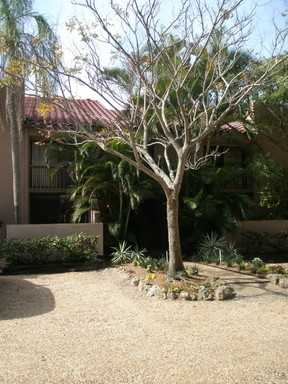 117 Pass Key Rd #117 - Photo 2 of 19