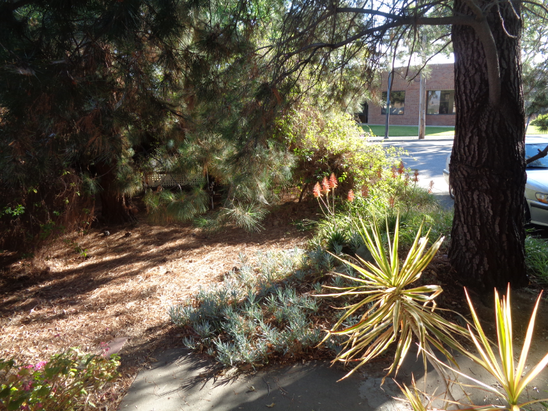 2140 Canoas Garden Ave - Photo 2 of 6