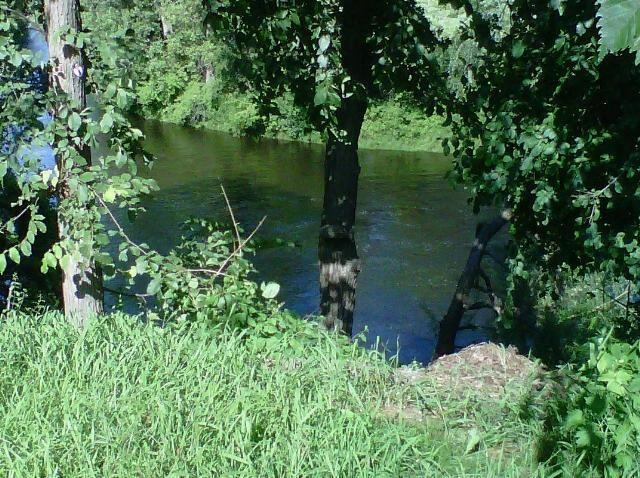 22753 Vintage St NW - Photo 3 of 9