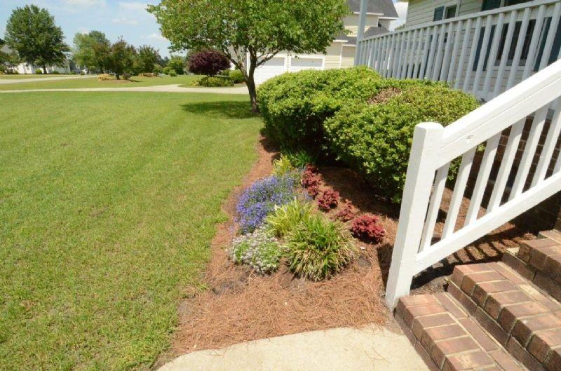 885 Brandy Creek Dr - Photo 3 of 31