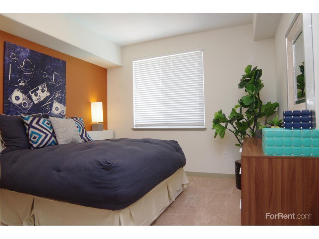 Anton La Moraga - Photo 3 of 19