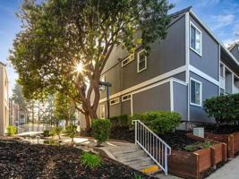 featured image of 486 Morello Ave