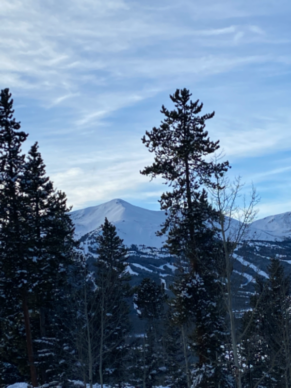 130 Atlantic Lode Rd - Photo 3 of 17