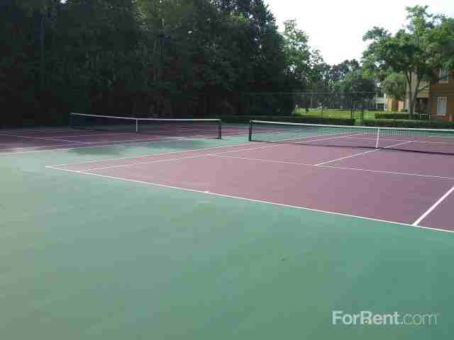 Bella Cortina - Photo 2 of 14