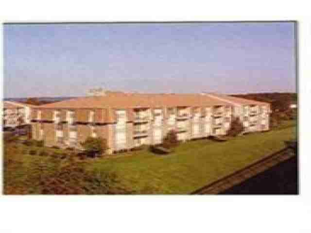 Village Commons - Photo 3 of 8