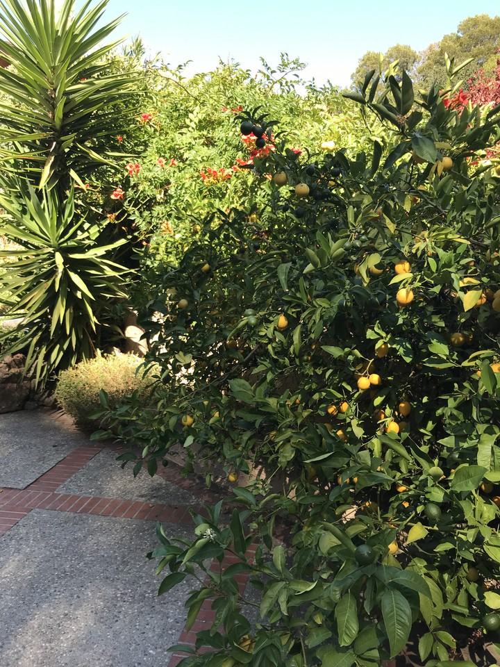 405 Cunningham Way - Photo 5 of 25