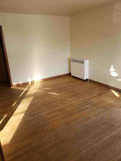 Pride II - Photo 2 of 19