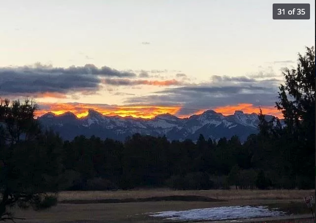 498 Badger Trl S - Photo 2 of 22