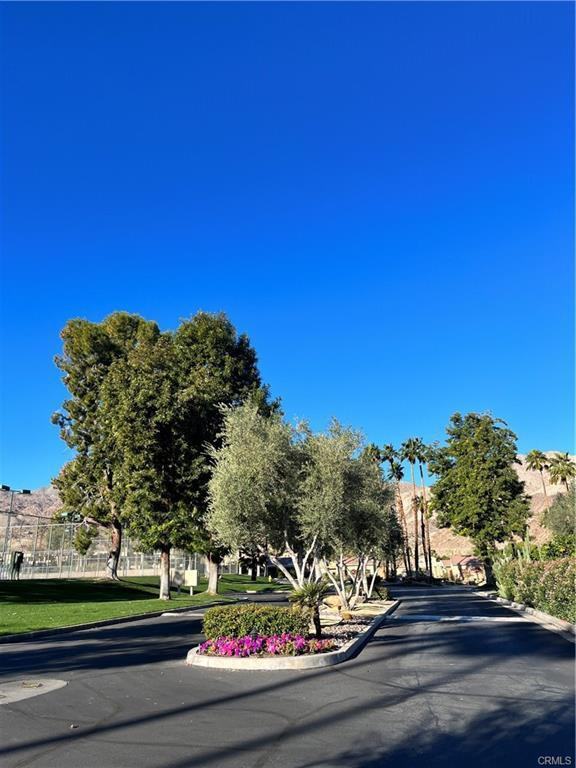 48792 Desert Flower Dr - Photo 3 of 9